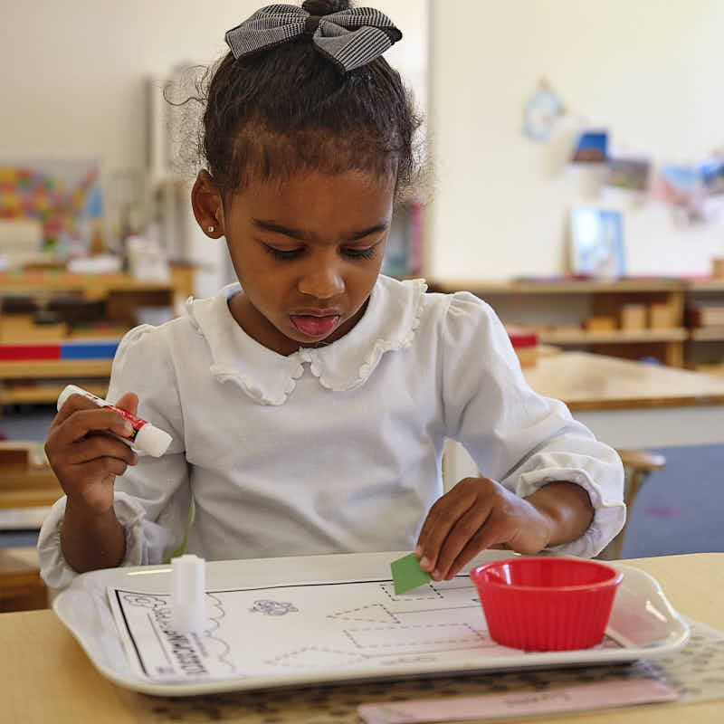 Child engaged in Montessori learning
