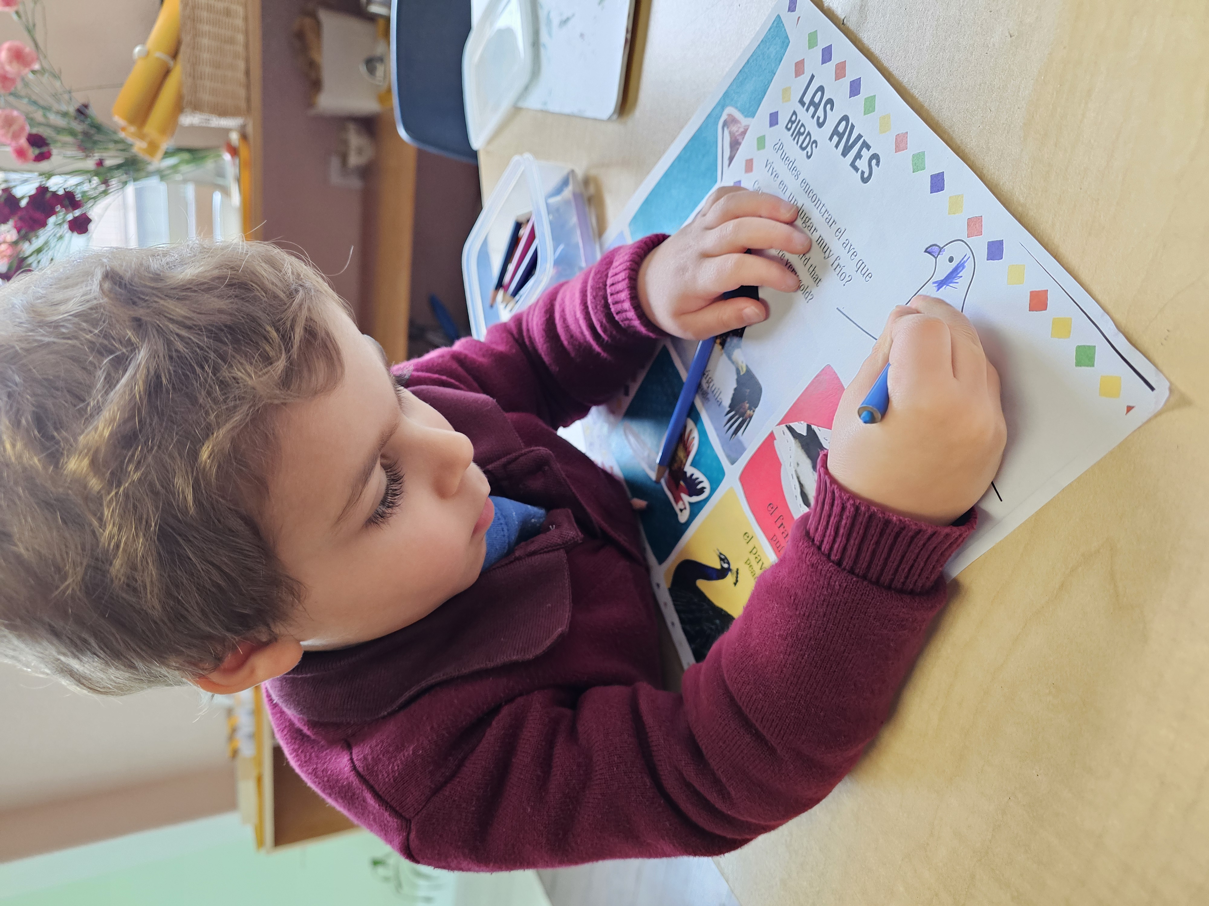 Spanish language program at Casa dei Bambini